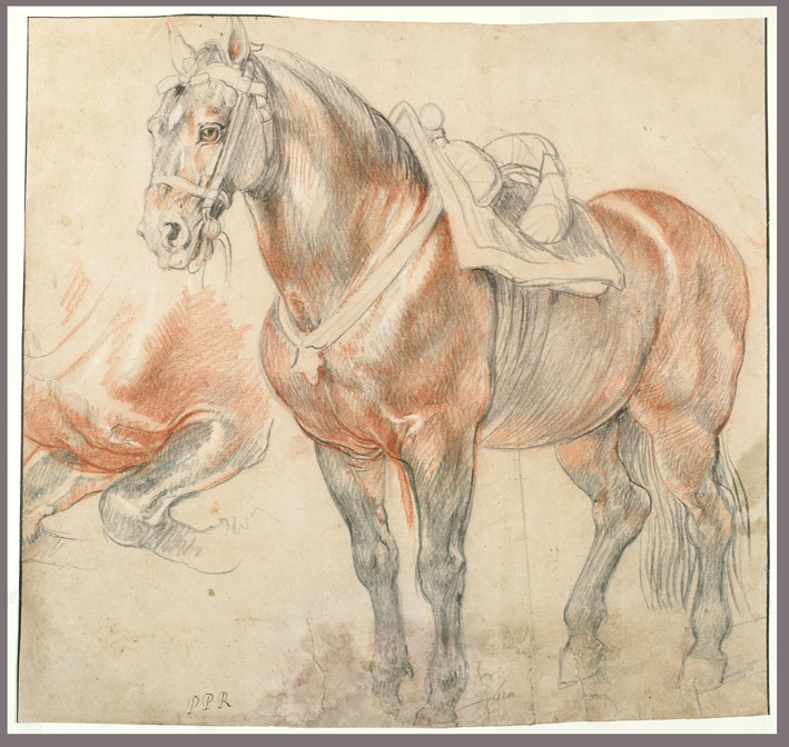  彼得·保罗·鲁本斯 Peter Paul Rubens——马鞍的马